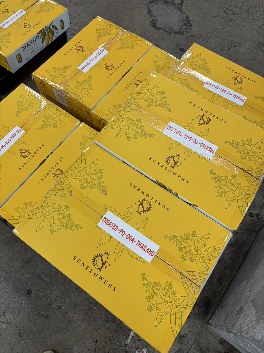 Sunflowers mango boxes